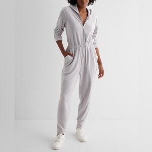 Express Women's Silver Velour Jumpsuit